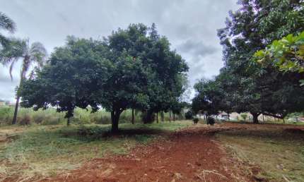 Vendo Chácara 10.000 M² próximo ao Country Clube Chácara à Venda, 10000 por R$ 1.800.000 VN28265