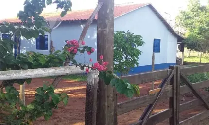 Fazenda amorinopolis 7 alqueires chácara à venda, 338000 por r$ 1.450.000 ad7874
