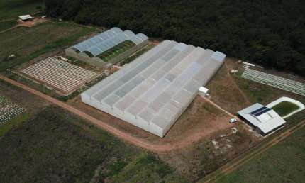 AREA RURAL - HIDROLANDIA-GO Área / Terreno à Venda, 50000 por R$ 890.000 no setor Zona Rural AD30951