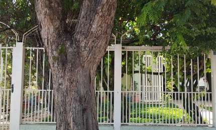 Grande Casa Jardim Balneario Casa de Rua com 5 Quarto(s) e 4 banheiro(s) à Venda, 250 por R$ 870.000 no setor Jardim Balneario Meia Ponte VN31172