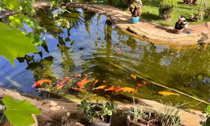 Chácara Alto Padrão Cond. Mansões Morumbi Senador Canedo Chácara à Venda, 212 por R$ 1.600.000 AU31393
