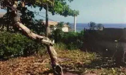 Terreno à venda, 1740 m² por R$ 2.000.000,00 - Pituaçu - Salvador/BA