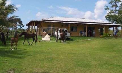 Sítio com 4 dormitórios à venda, 40000 m² por R$ 1.100.000,00 - Barra do Pojuca - Camaçari/BA