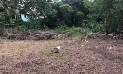 Terreno à venda, 750 m² por R$ 375.000,00 - Jardim das Margaridas - Salvador/BA
