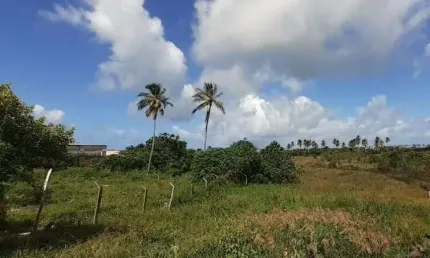 Terreno à venda, 1800 m² por R$ 1.350.000,00 - Arembepe - Camaçari/BA