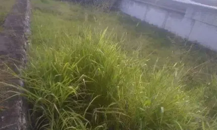 Terreno à venda, 818 m² por R$ 1.000.000,00 - Pernambués - Salvador/BA