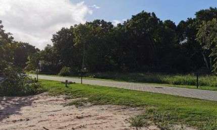 Terreno à venda, 600 m² por R$ 895.000,00 - Acú da Torre - Mata de São João/BA