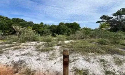 Terreno à venda, 800 m² por R$ 785.670,00 - Praia do Forte - Mata de São João/BA