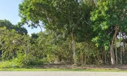 Terreno à venda, 600 m² por R$ 1.150.000,00 - Praia do Forte - Mata de São João/BA