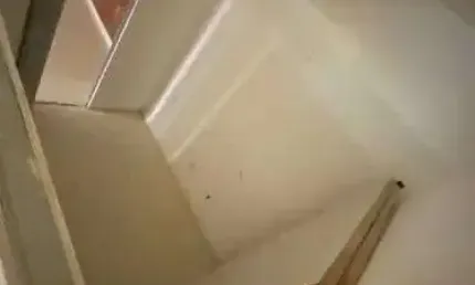 Loja para alugar, 20 m² por R$ 1.200,00/mês - Parque Bela Vista - Salvador/BA