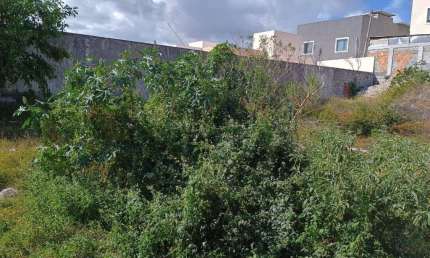 Terreno à venda, 250 m² por R$ 295.000,00 - Praia do Flamengo - Salvador/BA