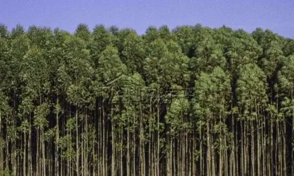 Terreno à venda na Avenida Papa João Paulo II, Urbanova VI, São José dos Campos