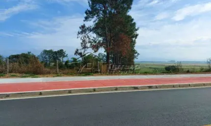 Excelente área com 39.000m² em Quiririn - Taubaté/SP
