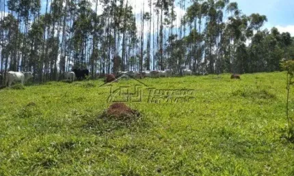 Chácara / sítio com 3 quartos à venda na Rua Barão de Jacareí, Cidade Nova Jacareí, Jacareí