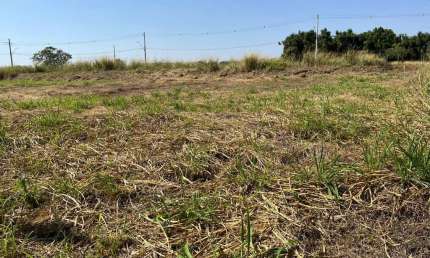 Terreno para Venda em Holambra, Residencial Jardim Europa