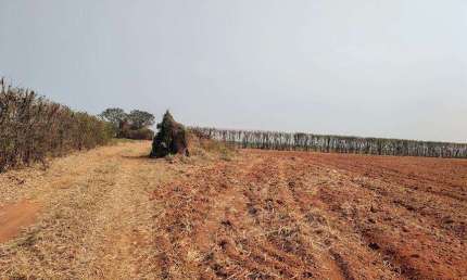 Chácara / sítio à venda na Rua Coronel Guedes, Área Rural de Mogi Mirim, Mogi Mirim