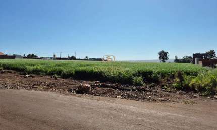 Venda de Lote Rural para Loteamento Residencial em Doutor Camargo-PR