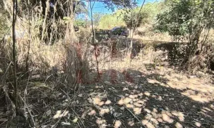 Terreno à venda na Rua Roque Antonio Gonçalves, 100, Moinho, Campo Limpo Paulista