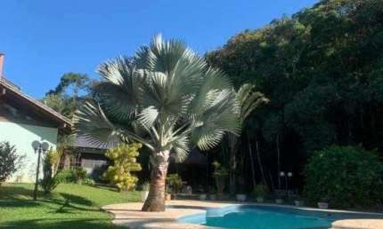 Chácara com 4 quartos, Pirabeiraba (Pirabeiraba), Joinville - R$ 2.8 mi, Cod: 22