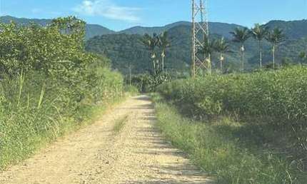 Sítio, Pirabeiraba (Pirabeiraba), Joinville - R$ 1.1 mi, Cod: 307