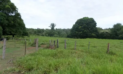 Fazenda à venda na Zona Rural, Barão de Melgaço 