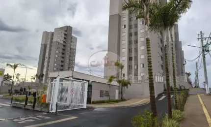 Apartamento - Ribeirao Preto - Parque das Oliveiras - Região Zona Norte