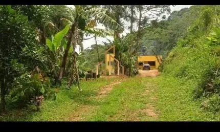 Sítio com 3 dormitórios à venda, 24000 m² - Vila Moraes - Mogi das Cruzes/SP