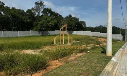 Real Park II - Terreno à venda, 300 m² - Vila Oliveira - Mogi das Cruzes/SP