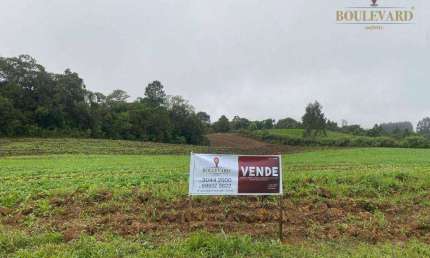 Chácara à venda, 54000 m² por R$ 419.000,00 - Zona Rural - Tijucas do Sul/PR