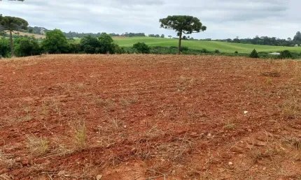 Araucária, à 300m do asfalto, 5 alqueires, 12,35 hectares, barracão, própria pra plantio, arrendada