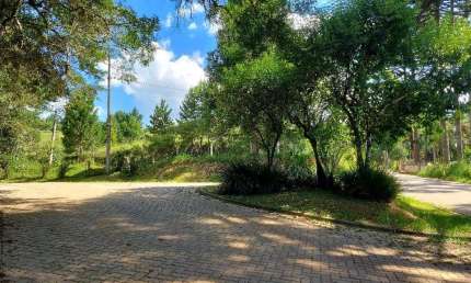 Campo Largo, Ferraria, chácara 51.425m², na rotatória EcoUmbrella, acesso asfalto, esquina com Rua