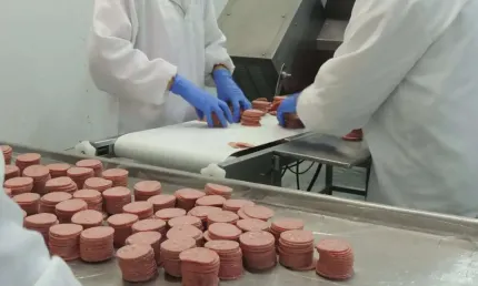 São João do Triunfo, Permuta por fazenda de soja - Frigorífico suíno, alto faturamento anual , prod