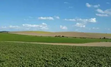 Lapa, Fazenda 471,90 hectares,195 alqueires ou 4.719.000m²,plantando 100 alqueires, à venda, Paraná