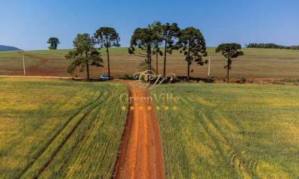 Tibagi, surpreendente plantando 100 hectares, quase 100%, poço artesiano, cachoeira, à venda, Zona