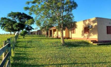 Alegrete, Estrada do Caverá, 32,70 Hectares, Arrendada, Fazendinha ou Haras, banheiro de gado, tron