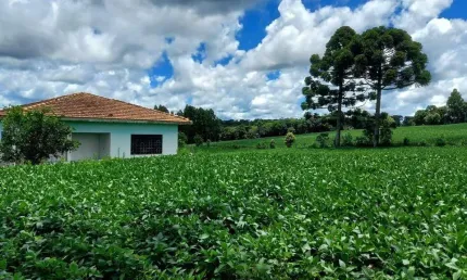 Lapa, 24 alqueires, 58 hectares ou. 580.800m², à 3 Km do asfalto, cercada, casa sede, galpão , plan
