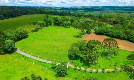 Lapa, Fazendinha ou Haras, 8 alqueires ou 19,36 hectares, casa sede, piscina, mina, à venda, Água A