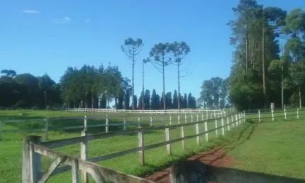 São José dos Pinhais,Haras cinematográfico, 20 Baias, 171.520m², 4 qtos, 2 suítes, à venda,  PR
