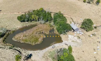 Campo Largo, Itambezinho, Fazenda Porteira Fechada, 95 cabeças de Gado Nelore,   213 há, 88 Alq , s