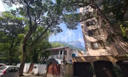 Vendo preciosidade no Jardim Botânico Rio de Janeiro Rua Conde Afonso Celso