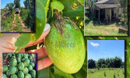 Chácara / sítio à venda na Br376a, Zona Rural, Alto Paraná