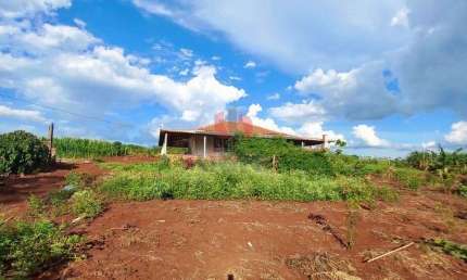 Chácara / sítio à venda na Estrada Arthur Charal, Zona Rural, Paiçandu