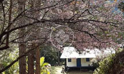 Vende-se Sítio em São Bento de Urânia, Alfredo Chaves - ES** codigo: 69317