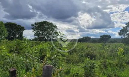 Área de 3.500 hectares em ribas do rio pardo codigo: 109099