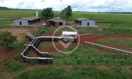 Haras completo com ótima localização e estrutura. codigo: 108926