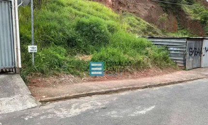 Terreno à venda, 480 m² por R$ 135.000,00 - Nova Benfica - Juiz de Fora/MG