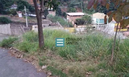 Terreno Residencial à venda, Nova Benfica, Juiz de Fora - TE0100.