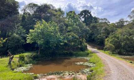 Chácara para venda possui 8000 m² - Casa com 80m² - Serra Alta - São Bento do Sul - SC