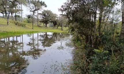 Imóvel para venda com 24000 m² em Mato Preto - São Bento do Sul - SC