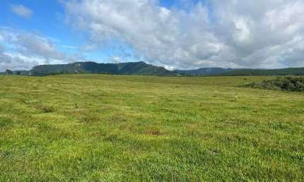 Terreno com 1403600 m² (58 Alqueires) 15 km da BR 116 - Zona Rural - Papanduva - SC